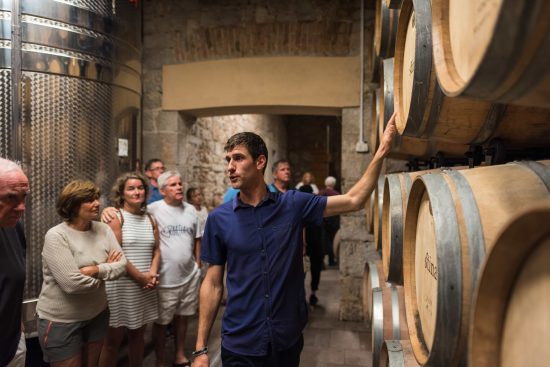 Spread throughout the region, you'll find many excellent wineries in Croatia that each have their own special story, winemaking techniques and unique wines on offer.